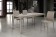 Τραπέζι Επεκτεινόμενο Modern Collection Design με μεταλλικά πόδια και τζάμι 140x90 εκ.